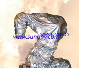 高溫防護(hù)系統(tǒng)